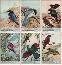 FIGURINE LIEBIG SERIE ITALIANA