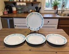 PIONEER WOMAN By Corelle SET 4