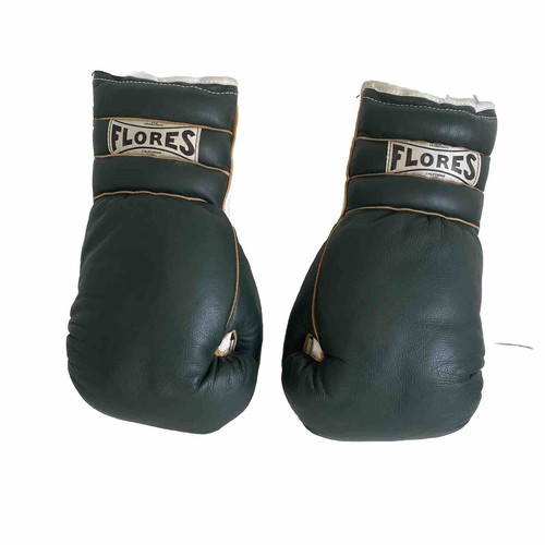 Guantoni boxe vintage - vintage, ray