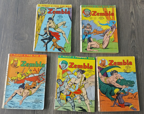Lot zembla n - lot, n°