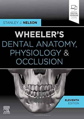 Wheeler dental anatomy - dental,