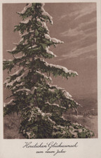 CARTOLINA  AUGURALE BUON