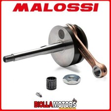 5318713 crankshaft Malossi