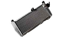 ✅Fit Rotax Max 125 Radiatore