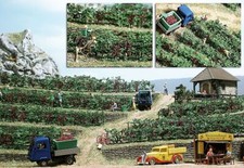 BUSCH 1200 Scala HO Vigneto