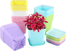 24 Pezzi Vasetti Plastica per