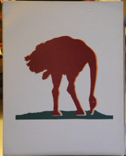 RIPRODUZIONE FOTOLITOGRAFICA - GINO MAROTTA - STRUZZO -  TIRATURA LIMITATA