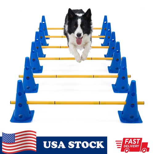 Dog agility equipment - dog,
