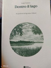 Luigi Stadera Dentro il lago