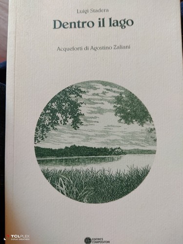 Luigi stadera dentro - luigi,