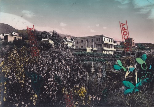 Cpa sicilia catania - cpa,