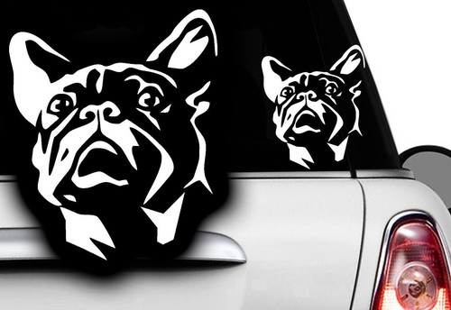 Adesivi auto bulldog - adesivi,