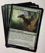 x4 Struzzo-Cavallo - 0188 -