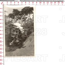 J7128 ALGERIA الجزائر