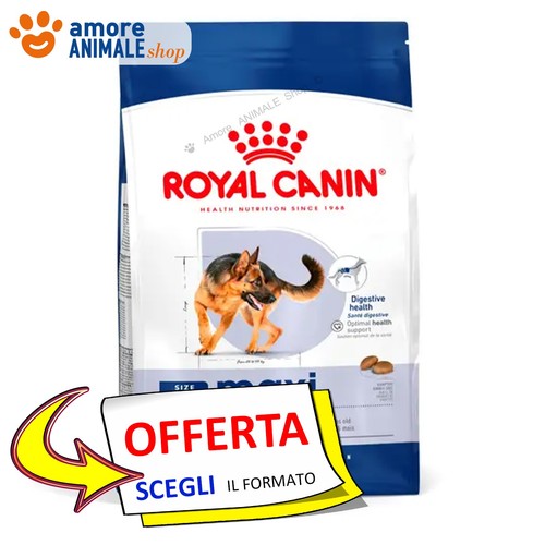 Royal canin dog - →, adult