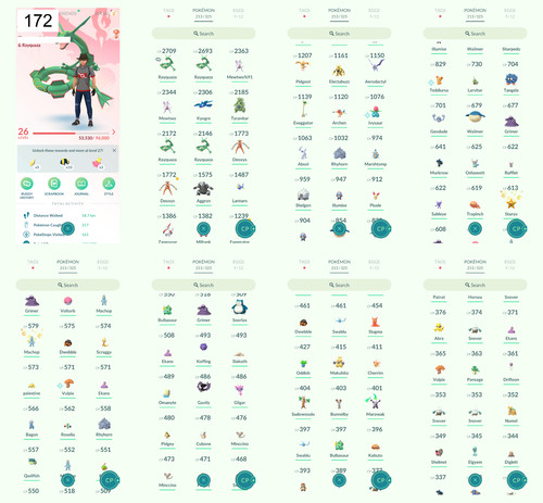Pokémon acc lvl - go,