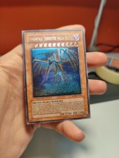 Immortale Terrestre Aslla