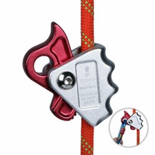 Albero Arborista Arrampicata