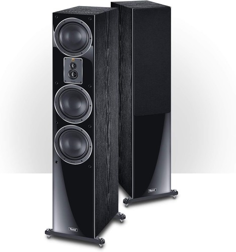 Coppia altoparlanti magnat - coppia,