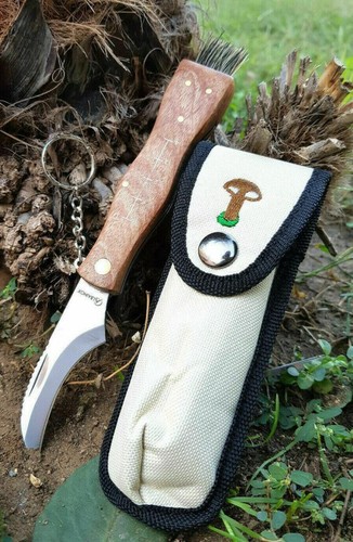Coltello per raccolta - coltello, funghi