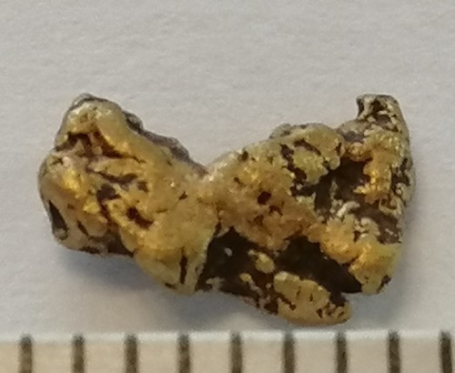 Pepita oro xxl 7mm - pepita,