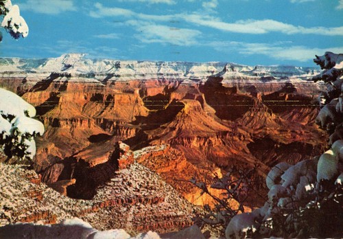 Usa lot cart grand - cart,, canyon