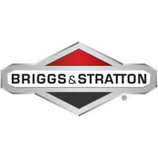 Scivolo di scarico Briggs & Stratton | 5404834YP