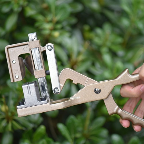 Pinza innesto con viti - da,