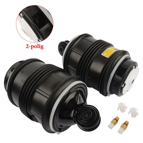 Molle pneumatiche posteriori - 2,