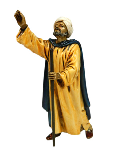 Pastore arabo cammelliere - pastore,