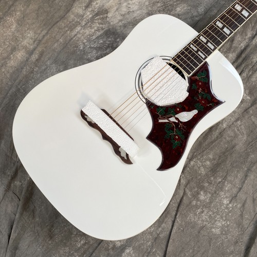 Chitarra elettrica acustica - elettrica,