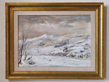 Nevicata paesaggio invernale - paesaggio,
