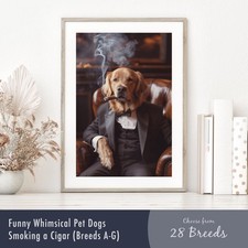 Ritratto di cane stravagante