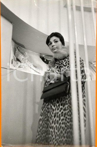 1960 roma farah diba di - roma,