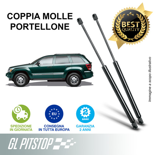 Pistoni portellone copia - pistoni, portellone,