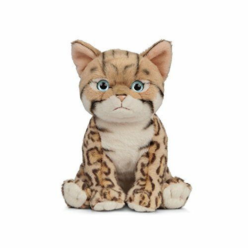 Living nature gattino del - living,