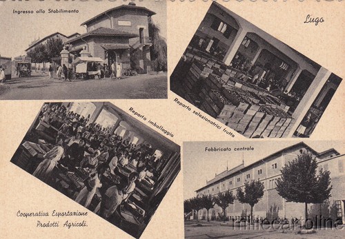 Lugo cooperativa - lugo,