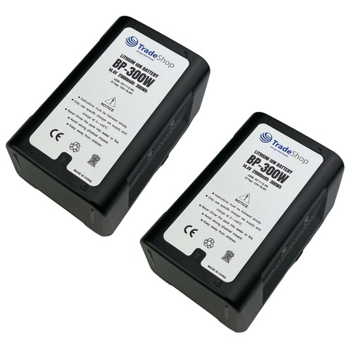 Batteria ion v mount - 2x,