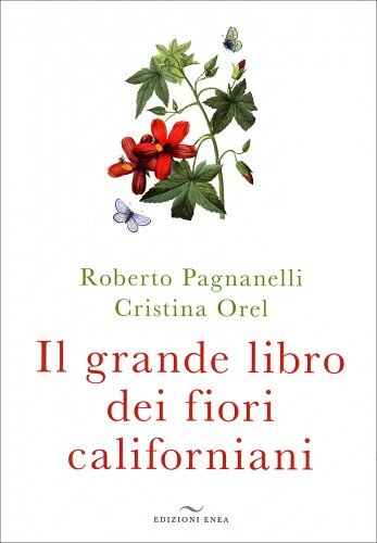 Libro grande - libro, il