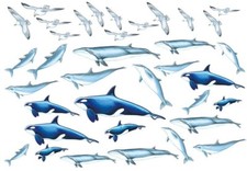 CARTA DI RISO DA  DECOUPAGE