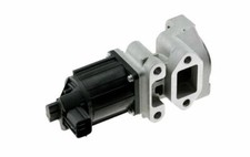 Valvola EGR Con Guarnizioni