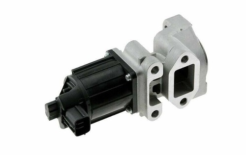 Valvola egr con guarnizioni - egr,