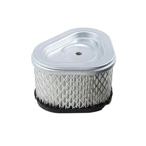 Filtro protezione motore