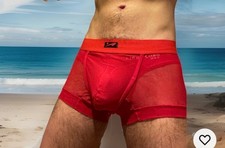 Sexy Men's Sheer Net Boxer