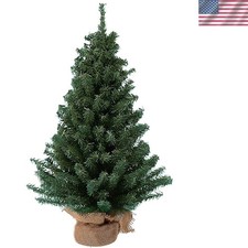 Mini Pino Non Illuminato 12