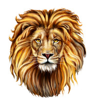 Cake topper leone commestibile