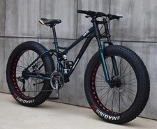 Fat tire mountain - tire,