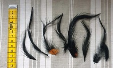 RARO LOTTO DI PIUME NERE E