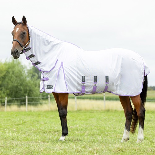 Equestrian stormx empra - hy,