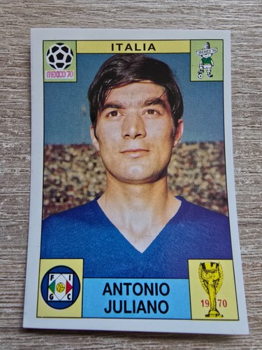 Panini world cup - panini,